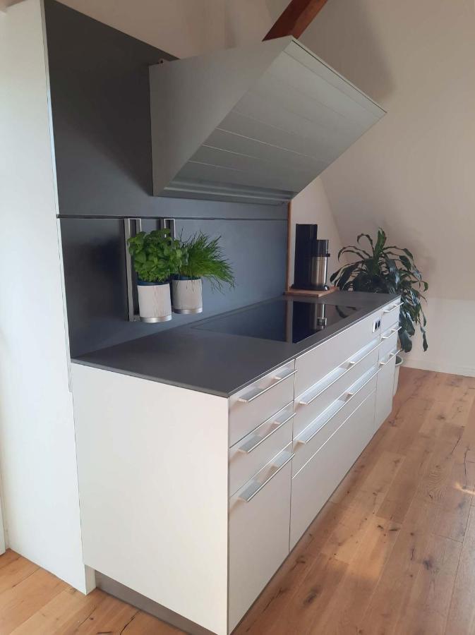 Luxurioeses Loft Mit Schoenem Blick Tremsbüttel Eksteriør bilde
